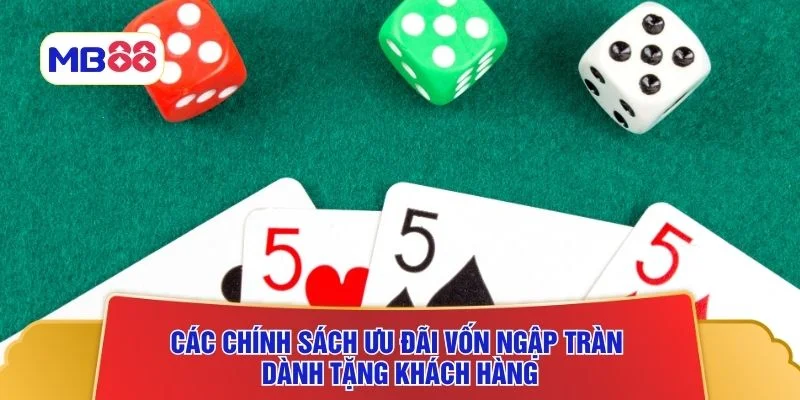 Các chính sách ưu đãi vốn ngập tràn dành tặng khách hàng