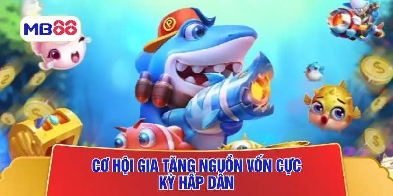 Cơ hội gia tăng nguồn vốn cực kỳ hấp dẫn